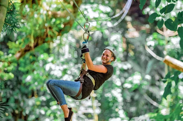 Ziplining_lg