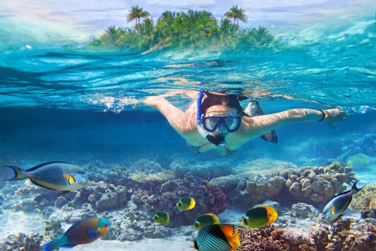 snorkel